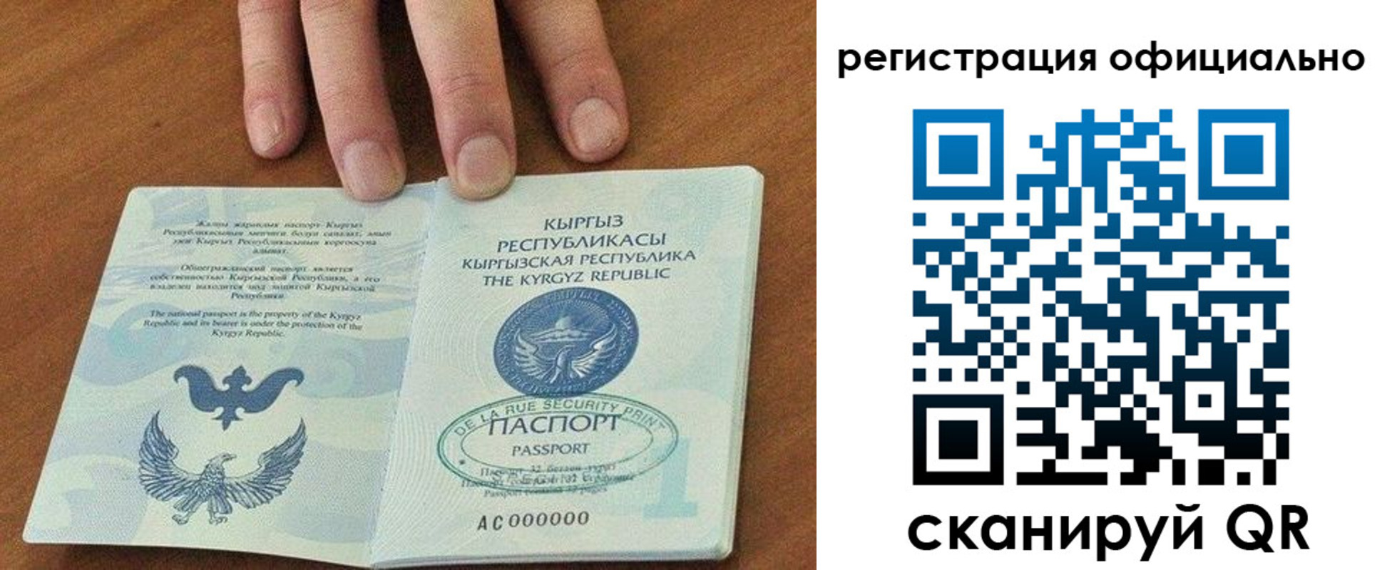 прописка в Зеленоградске